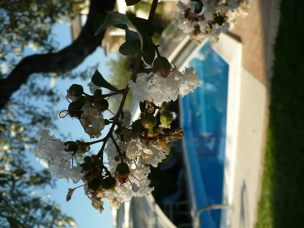 Bed & Breakfast Villa Sinatra Padenghe sul Garda